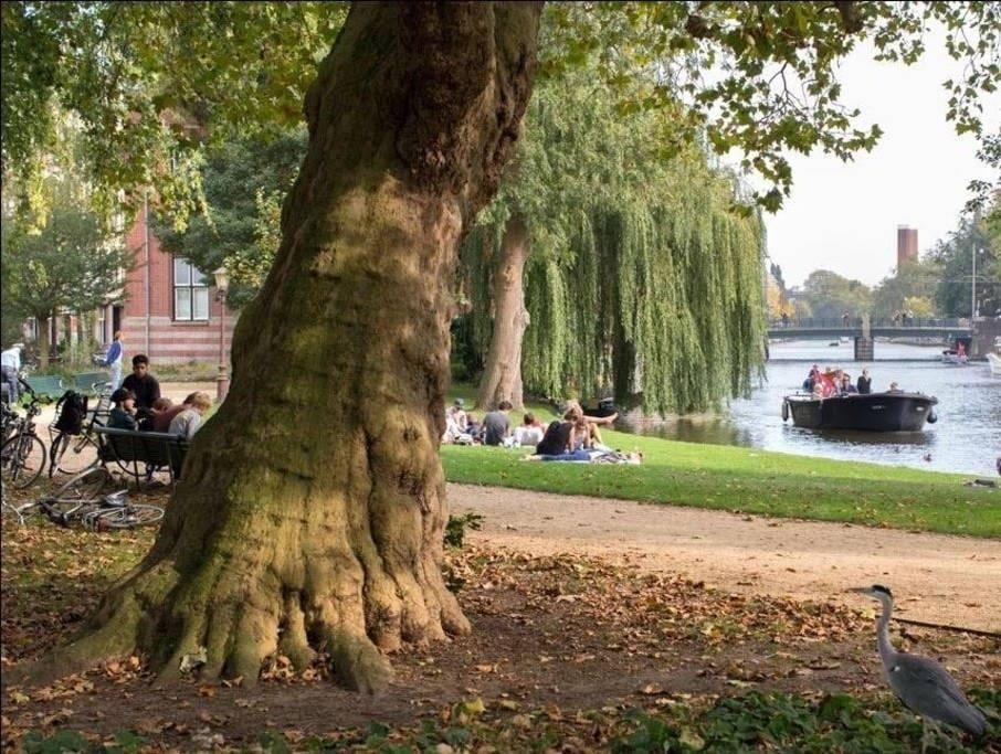 Perfect Apt - Heart Of Amsterdam Dış mekan fotoğraf